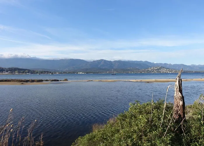 Appartement Paoli By Interhome