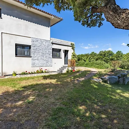 Paoli By Interhome Apartment